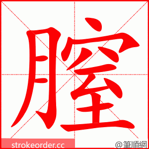 膣 的笔顺动画顺序