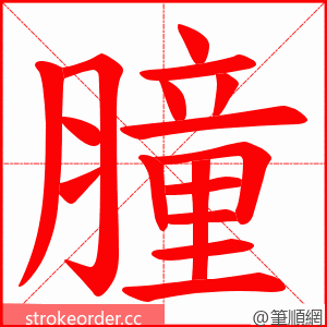 膧 的笔顺动画顺序