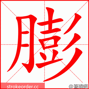 膨 的笔顺动画顺序