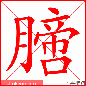 膪 的笔顺动画顺序