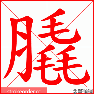 膬 的笔顺动画顺序