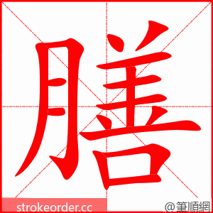 膳 的笔顺动画顺序