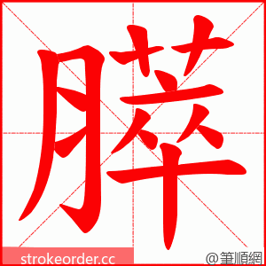 膵 的笔顺动画顺序