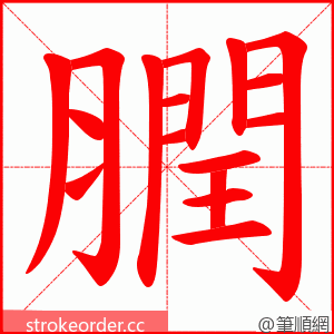 膶 的笔顺动画顺序