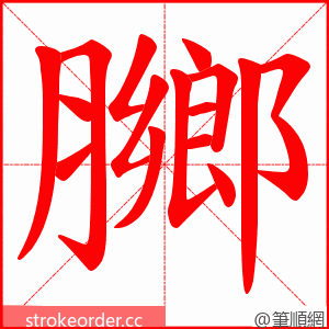 膷 的笔顺动画顺序