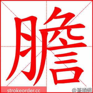 膽 的笔顺动画顺序