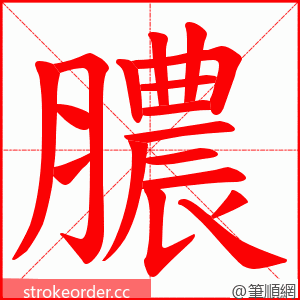 膿 的笔顺动画顺序