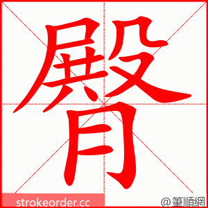 臀 的笔顺动画顺序