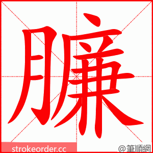 臁 的笔顺动画顺序