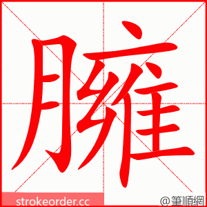 臃 的笔顺动画顺序