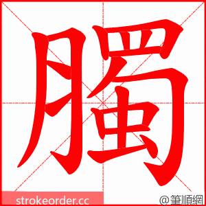 臅 的笔顺动画顺序