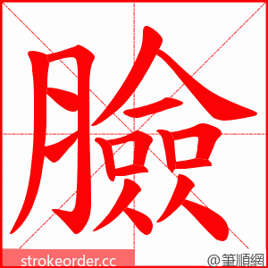 臉 的笔顺动画顺序