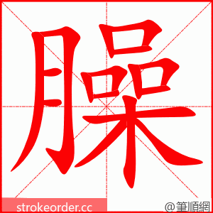 臊 的笔顺动画顺序