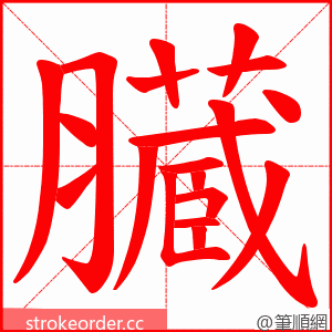 臓 的笔顺动画顺序