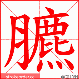 臕 的笔顺动画顺序