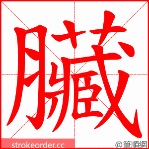 臟 的笔顺动画顺序