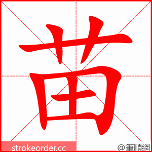 苗 的笔顺动画顺序