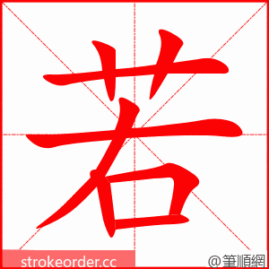 若 的笔顺动画顺序