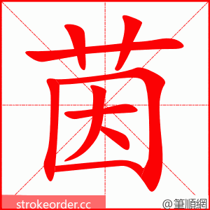 茵 的笔顺动画顺序