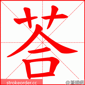 荅 的笔顺动画顺序