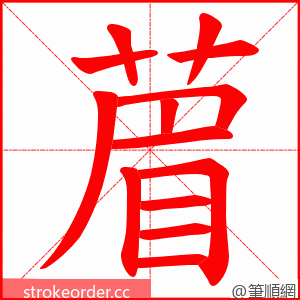 葿 的笔顺动画顺序