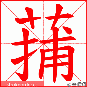 蒱 的笔顺动画顺序