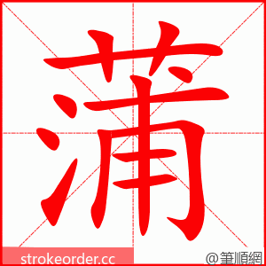 蒲 的笔顺动画顺序
