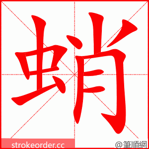 蛸 的笔顺动画顺序