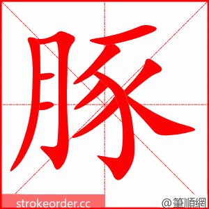 豚 的笔顺动画顺序