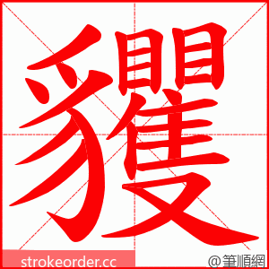 貜 的笔顺动画顺序