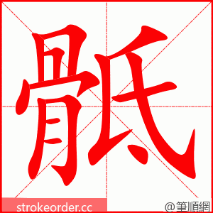 骶 的笔顺动画顺序