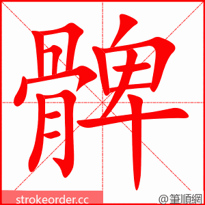 髀 的笔顺动画顺序