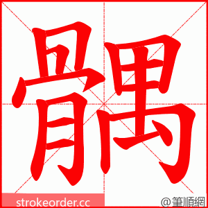 髃 的笔顺动画顺序