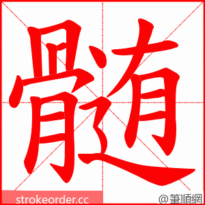 髄 的笔顺动画顺序