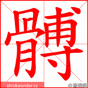 髆 的笔顺动画顺序