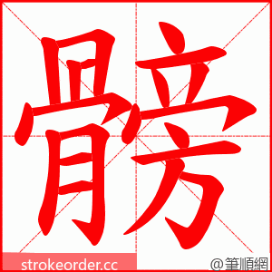 髈 的笔顺动画顺序