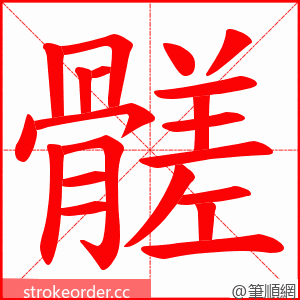 髊 的笔顺动画顺序