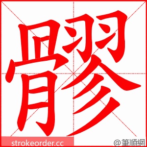 髎 的笔顺动画顺序