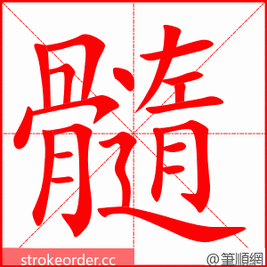 stroke order animation of 髓