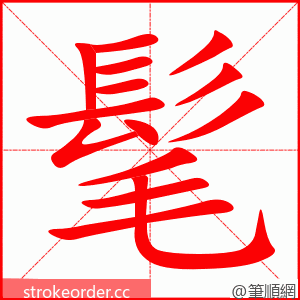 髦 的笔顺动画顺序