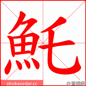 魠 的笔顺动画顺序