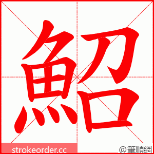 鮉 的笔顺动画顺序
