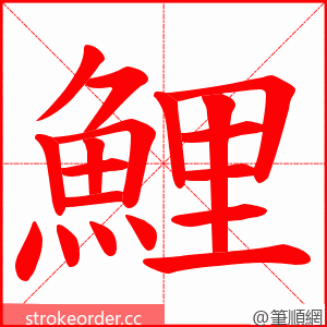 鯉 的笔顺动画顺序