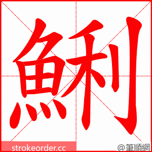 鯏 的笔顺动画顺序