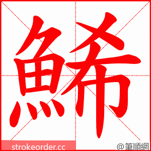 鯑 的笔顺动画顺序