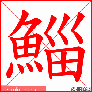 鯔 的笔顺动画顺序