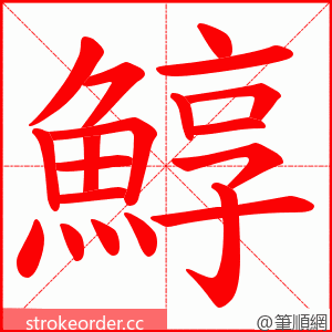 鯙 的笔顺动画顺序