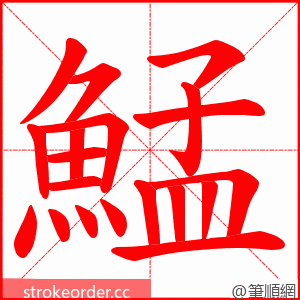 鯭 的笔顺动画顺序