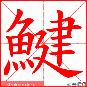 鰎 的笔顺动画顺序