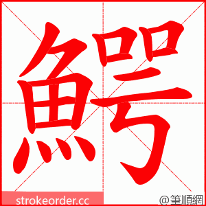 鰐 的笔顺动画顺序